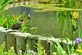 23 06 15_5161_edited-1